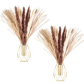 Otoolling 2 Pcs Boho Wall Decor Metal Wall Art Hanging Planter with Artificial Pampas Wall-mounted Modern Home Decor Display Artwork Plant Hanging Vase for Bedroom Living Room Kitchen Bathroom (Gold)