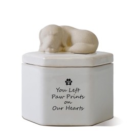 Silkwishes Dog Keepsake Box, Dog Urns for Ashes, Dog Memorial Gifts for Loss of Dog Sympathy Gift, Rainbow Bridge(Ceramic)