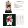 Art Four Seasons Phalaenopsis Denfare Dome Pink Preserved Flowers
