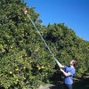 Fruit Picker Tool, Fruit Picker Pole with Basket Height Adjustable