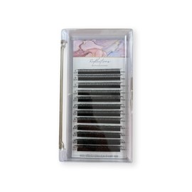 Premium Eyelash Extension Set - 6D Premade Fans Eyelashes Extensions - D Curl Volume Lash Extensions - Black Individual Eyelashes Tray for Professional Salon (6D /D Curl,13mm)