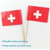 QQSD Switzerland Toothpick Flag Swiss Small Mini Cupcake Topper Flags,100