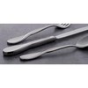Oneida Satin Aquarius 5 Piece Fine Flatware Set, Service for