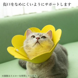 Elizabeth Color Orange, Medium Size, Pet Goods, Lightweight, Soft Type, Ericala, Dog, Cat, Cute, Flower Shaped Design