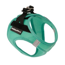 P24S Smart Step-In Dog Harness with 2 Free Custom Name Stickers, Velcro Sticker, Desired Texts for Small Dog Breeds with Online Dogtag Service (Turquoise Green, XS (Chest: 40-48 cm))