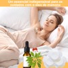 100 Parches Autoadhesivos de Aceite de Ricino para Ombligo, Sin