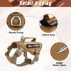 SALFSE Large Tactical Cat Harness Leash, Air Mesh Adult Cat