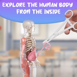 Gaelen Human Body Model for Kids: Glow in The Dark Bones Interactive Science Kit-32 Piece Anatomy Toy kit for STEM Education