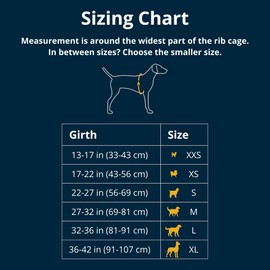 Ruffwear, Swamp Cooler Zip Dog Vest, Evaporative Cooling for Hot Weather, Aurora Teal, Large