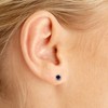 14k Yellow Gold Round Genuine Sapphire Stud Earrings