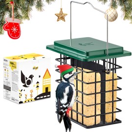 iBorn Double Suet Feeder- Metal Roof Bird Feeder with Taller Grid for Woodpeckers, Suet Cake Cage Bird Feeder for Outdoors Hanging,Easy-Clean & Refill,Green (1 Pack)
