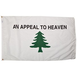 NEOPlex an Appeal to Heaven Traditional Flag