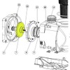Pentair SuperFlo Impeller Assembly for SuperFlo VS Variable Speed Pool