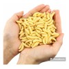 50 Pc Señuelo Gusano Sin Anzuelo Efectivo 2cm