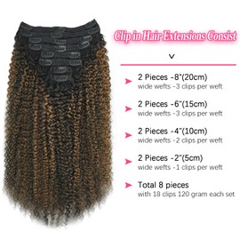 Mihugass 3c 4a Curly Clip in Hair Extensions T1BP1B/30 Omber Kinky Curly Clip ins For Women Brazilian Virgin Clip on Hair (14inch,T1BP1B/30)