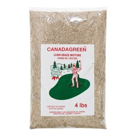Canada Green Grass Lawn Seed - 4 Pound Bag Grows Healthy Rich Green Fast Growing Grass Lawn Seed Plants Yard Garden