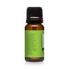 Cucumber Premium Grade Fragrance Oil - Scented Oil - (10ml)
