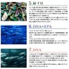 SEA-COMS EPA DHA Akamaku Fukosanthin Fukoidan Supplement, Approx. 12 Month