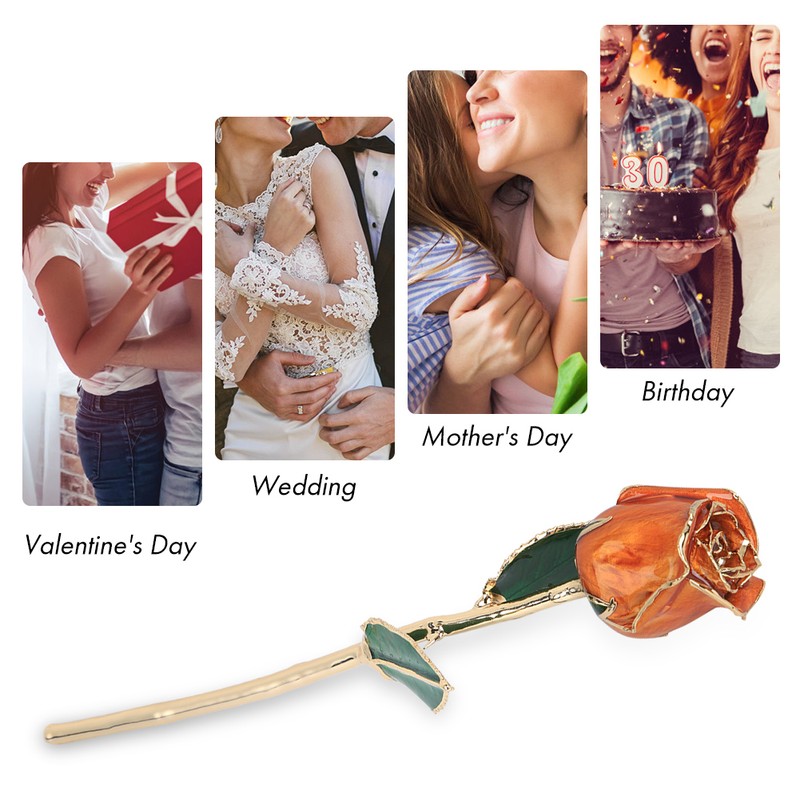 Golded Rose Flower 24K Bright Orange with Base Gift for