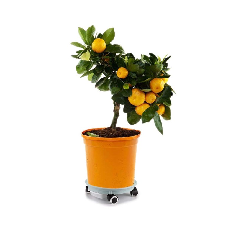 Skelang 2-Pack 13.39' Plant Caddy with Water Drawer, Movable Planter