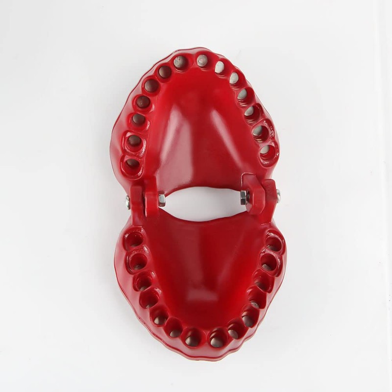 MIMIRACLE Denture Drill Bit Holder, Gag Gift for Dentist Handyman,