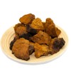 Russian Chaga Mushroom Powder 500g Dried Chaga Mushroom Powder /