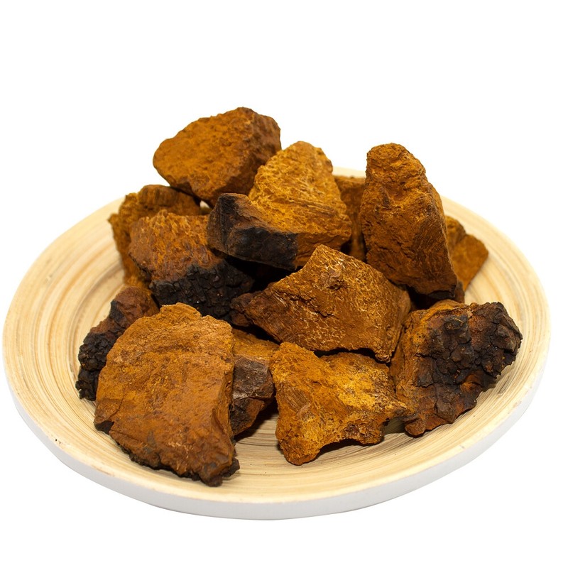 Russian Chaga Mushroom Powder 500g Dried Chaga Mushroom Powder /