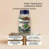 Aceite Orégano Y Coco 500mg 70 Cápsulas - Tng Naturista