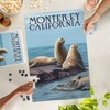 Lantern Press 1000 Piece Jigsaw Puzzle, Monterey, California, Sea Lions