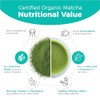 Emerail Organic Matcha Powder - Premium Culinary Grade Green Tea