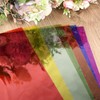 14 Pcs A4 Colour Overlays for Dyslexia, Coloured Transparency Sheets,