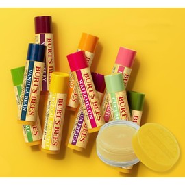 Burt's Bees Juego variado de 9 bálsamos labiales + 1 tratamiento labial de sorbete de limón, relleno de calcetines, sabores elegidos al azar