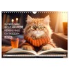 KATZEN-IRONIE Lach mal wieder (Wall Calendar 2026 DIN A4 Landscape),