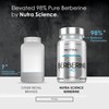 Berberine Supplement (98% Purity) Advanced Berberine High Strength 500mg, 60