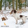 Dog & Field Pro Trialler Slip Lead, Brown. 1.2m Rope