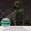 Reflective Dog Collar with Buckle Adjustable Safety Nylon Collars for