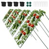 Toriexon Cucumber Trellis for Garden - 4 Pack, 48" L