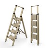 WOA WOA 4 Step Ladder for 10 Feet High Ceiling,