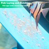 2 Pack Angelfish Discus Breeding Slate, Fish Breeding Spawning Slate