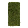 16'' L x 8'' w Moss Wall Panel