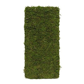 16'' L x 8'' w Moss Wall Panel