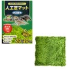 Professional Perspective: Reptile, Amphibians, Artificial Turf, Rearing Mat, Flooring Material,