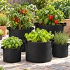 Felt Grow Bags for Vegetables, Strawberries & Flowers – Breathable