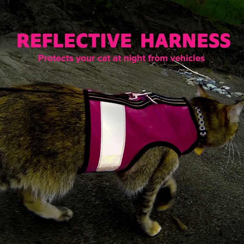 Kitty Holster Reflective Cat Harness - High-Visibility Cat Vest for