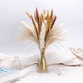 Decoflora Natural Pampas Grass Decor Set for Boho Home, Wedding, Fall Centerpiece Table Decor - Rustic Western Vintage Farmhouse Vase Fillers (50PC)