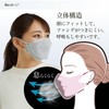 青山通商株式会社 [5個セット] グディナ 快適3D立体 マスク 個包装 グレー ふつうサイズ 30枚入×5個セット