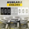 Procrom Premium (Gloss Stone Gray, Pint)