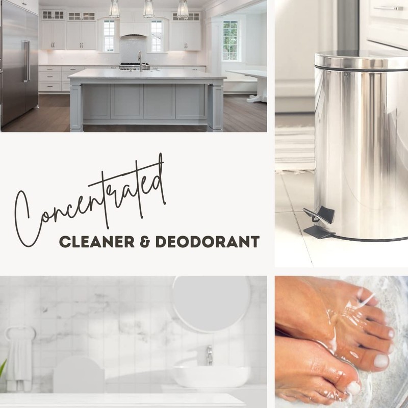 Hexol Concentrated General Household Cleaner and Deodorant