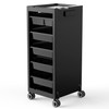 TASALON New Salon Trolley Cart with Wheels for Extra Storage,