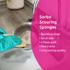 Sorbo Scouring Pads